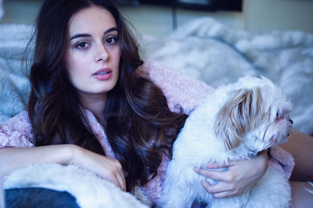 Evelyn Sharma Latest Photos | Picture 1740341