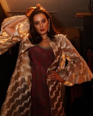 Evelyn Sharma Latest Photos | Picture 1740337