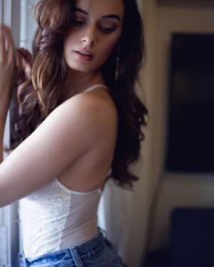 Evelyn Sharma Latest Photos | Picture 1740345