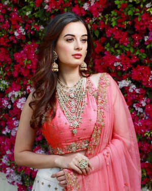 Evelyn Sharma Latest Photos | Picture 1740317