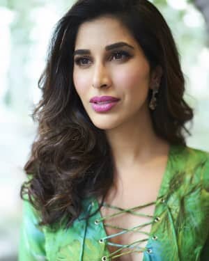 Sophie Choudry Latest Photos | Picture 1745674