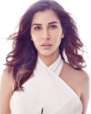 Sophie Choudry Latest Photos | Picture 1745619