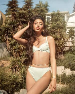 Alanna Panday Latest Photos | Picture 1737417