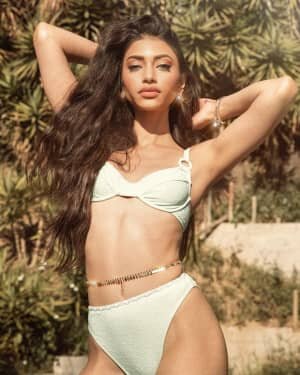 Alanna Panday Latest Photos | Picture 1737443