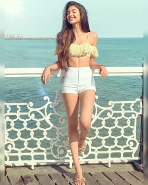 Alanna Panday Latest Photos | Picture 1737389