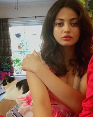 Sneha Ullal Latest Photos | Picture 1785674