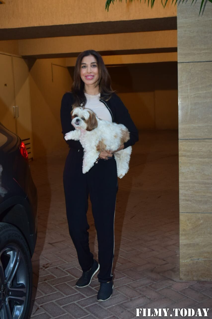 Sophie Choudry - Photos: Celebs Spotted At Bandra | Picture 1771296