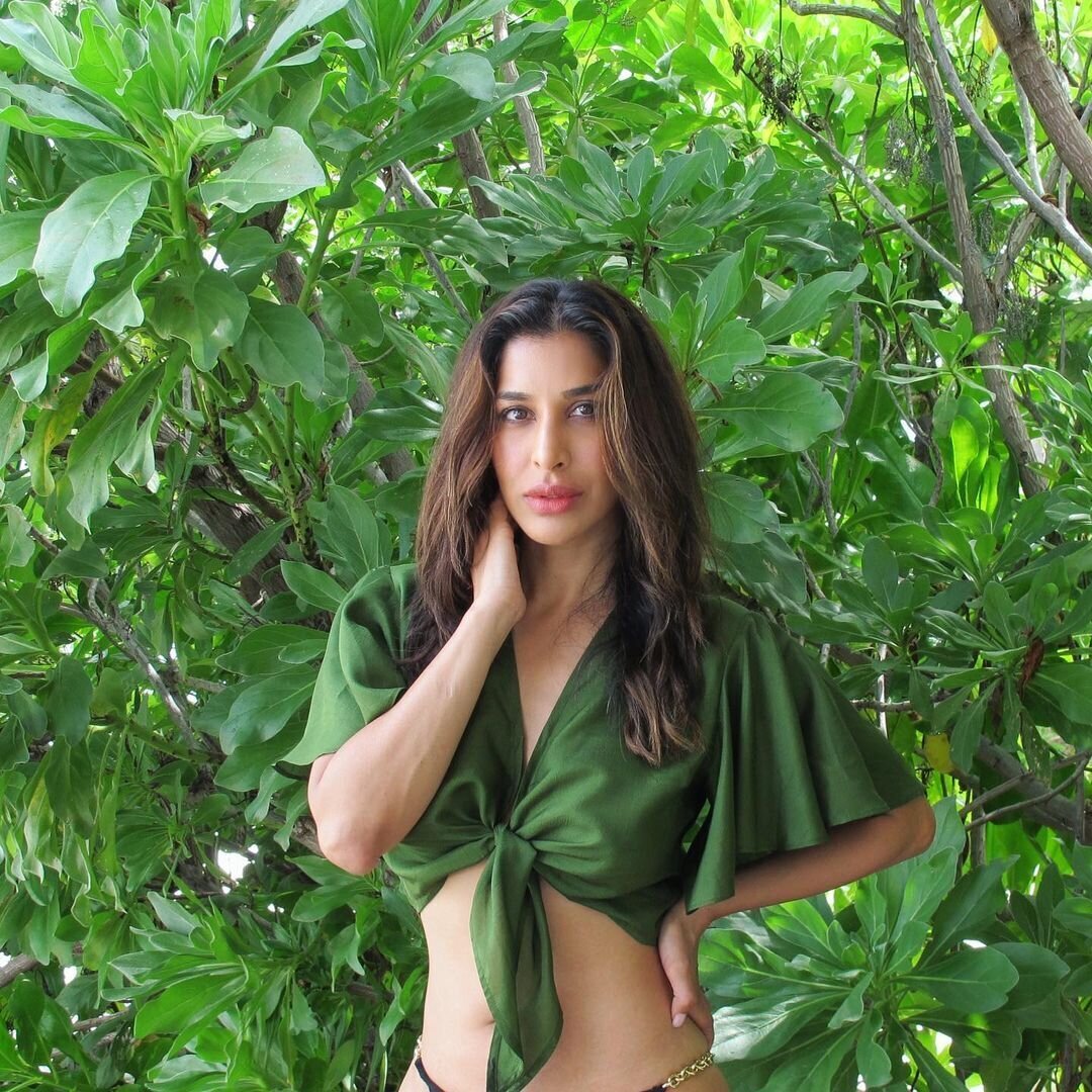 Sophie Choudry Latest Photos | Picture 1773326