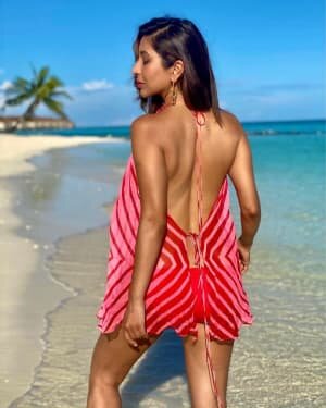 Sophie Choudry Latest Photos | Picture 1773314
