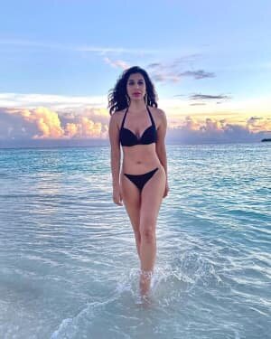 Sophie Choudry Latest Photos | Picture 1763980