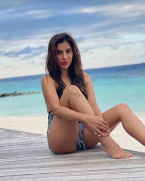 Sophie Choudry Latest Photos | Picture 1763961