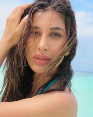Sophie Choudry Latest Photos | Picture 1763953
