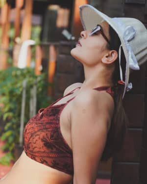 Payal Rajput Latest Photos | Picture 1766753