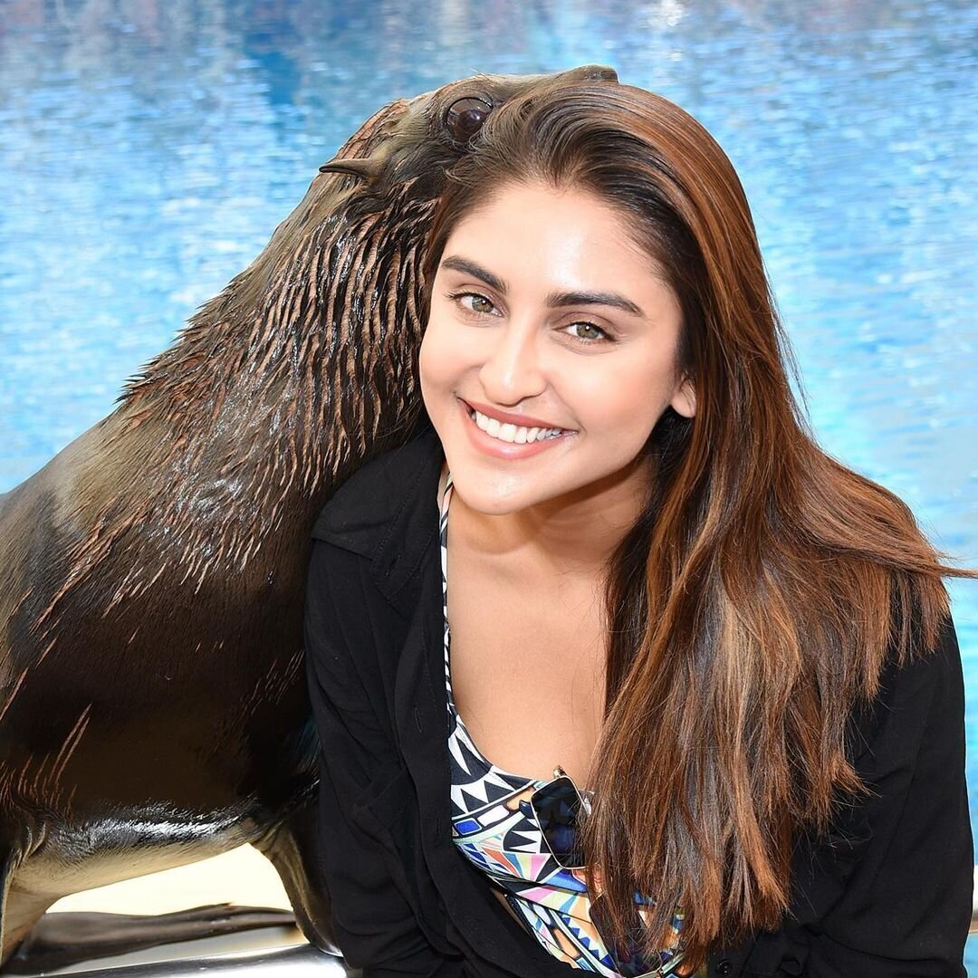 Krystle D'Souza Latest Photos | Picture 1768257