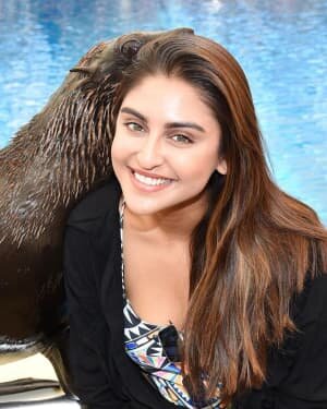 Krystle D'Souza Latest Photos | Picture 1768257