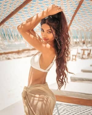Alanna Panday Latest Photos | Picture 1801153