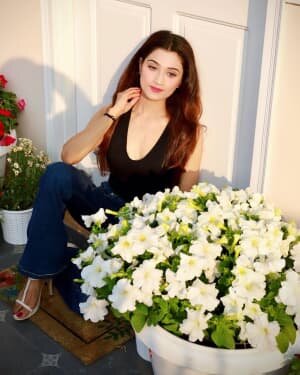 Arushi Nishank Latest Photos | Picture 1806615