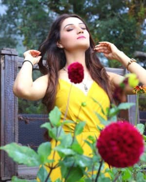 Arushi Nishank Latest Photos | Picture 1806525