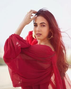 Sonal Chauhan Latest Photos | Picture 1807081