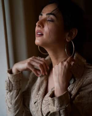 Sonal Chauhan Latest Photos | Picture 1807109