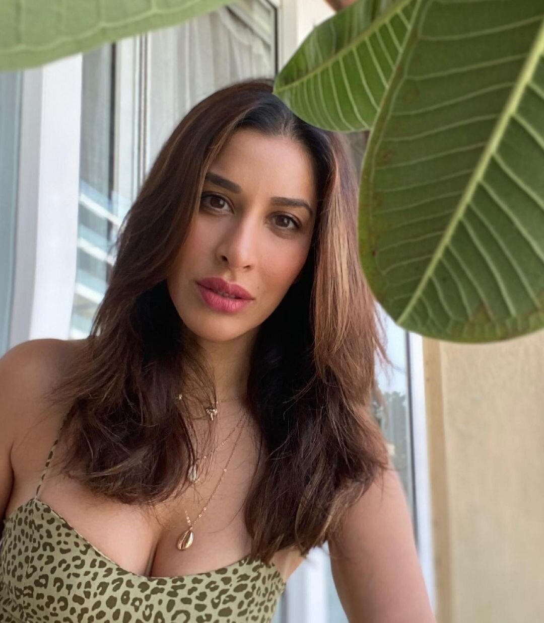 Sophie Choudry Latest Photos | Picture 1808640