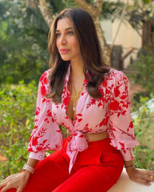 Sophie Choudry Latest Photos | Picture 1808602