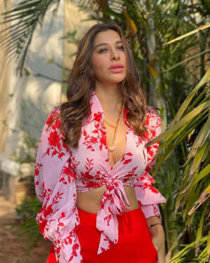 Sophie Choudry Latest Photos | Picture 1808601
