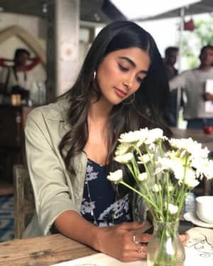 Pooja Hegde Latest Photos | Picture 1797628