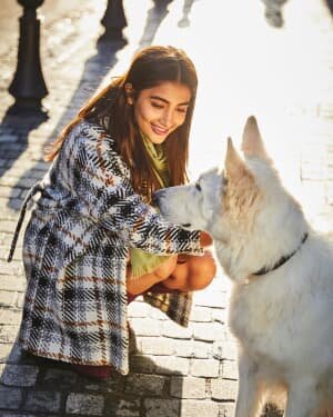 Pooja Hegde Latest Photos | Picture 1797785