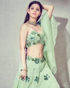Vedhika Latest Photos | Picture 1798761