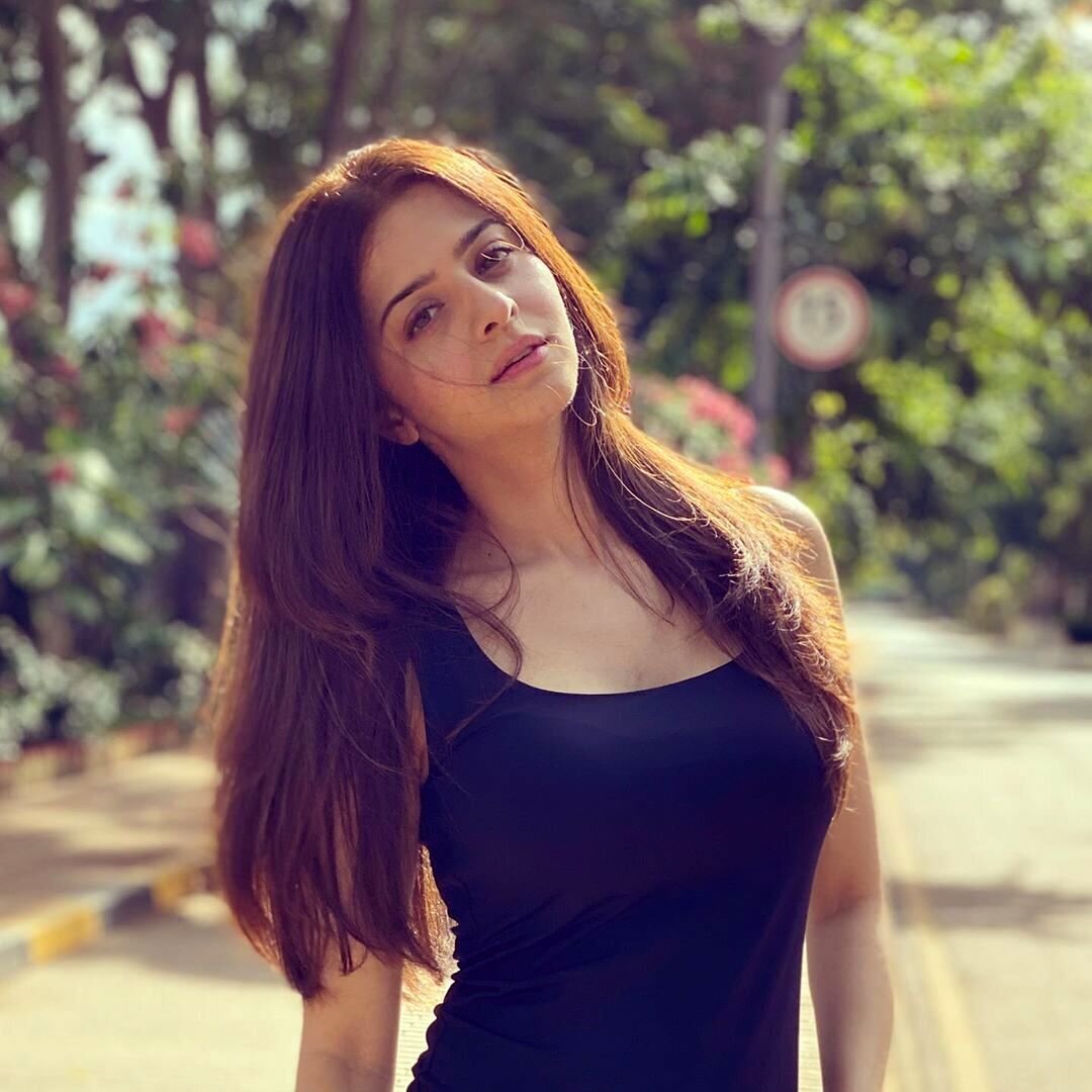 Vedhika Latest Photos | Picture 1746695