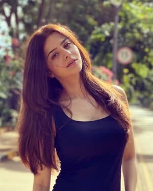 Vedhika Latest Photos | Picture 1746695