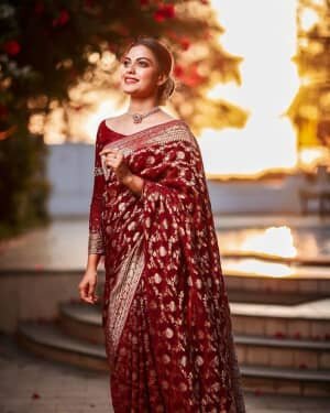 Anusree Nair Latest Photos | Picture 1736262
