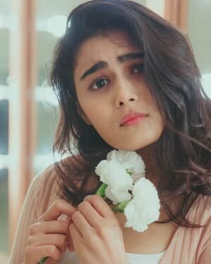 Shalini Pandey Latest Photos | Picture 1782728