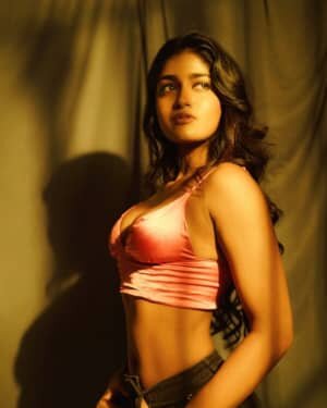 Dimple Hayathi Latest Photos | Picture 1751891