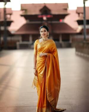 Anusree Nair Latest Photos | Picture 1753410