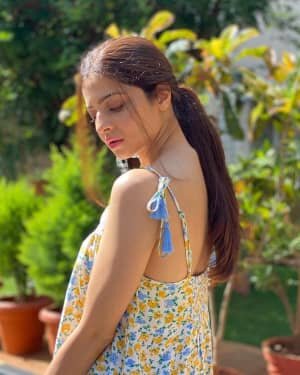 Vedhika Latest Photos | Picture 1750323