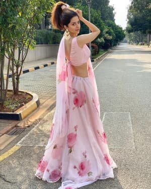 Vedhika Latest Photos | Picture 1750781