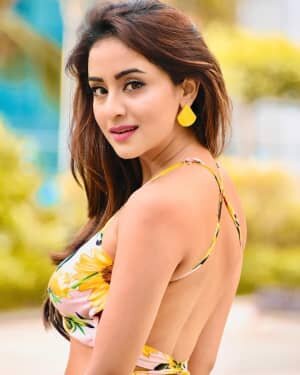 Muskan Sethi Latest Photos | Picture 1749269