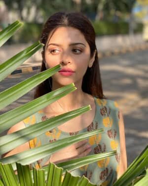 Vedhika Latest Photos | Picture 1765690